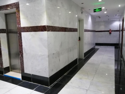 أراك التيسير 2 image 3